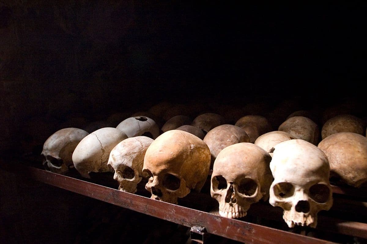 'Crime Pays': Andrej Nikolaidis's Uncomfortable Verdict on Srebrenica and the Limits of Justice